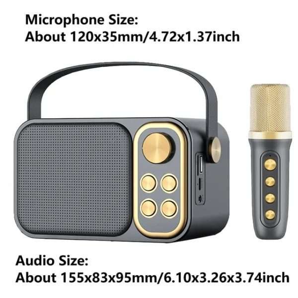 Ys-219 Karaoke Machine Portable Wireless Bluetooth 5.0 Speaker System With Dual Microphone Home Tv Ktv Set Support TF Card - Image 11